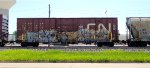 CNA 404907